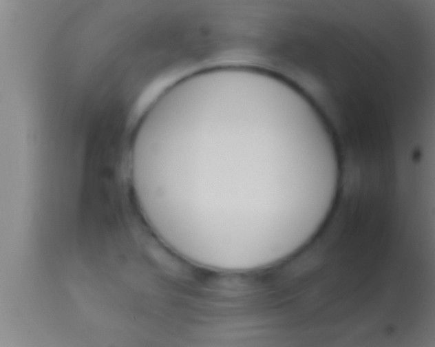 X0000113931366200910161840