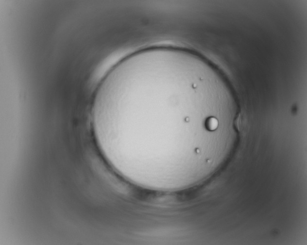 X0000113931367200910161840