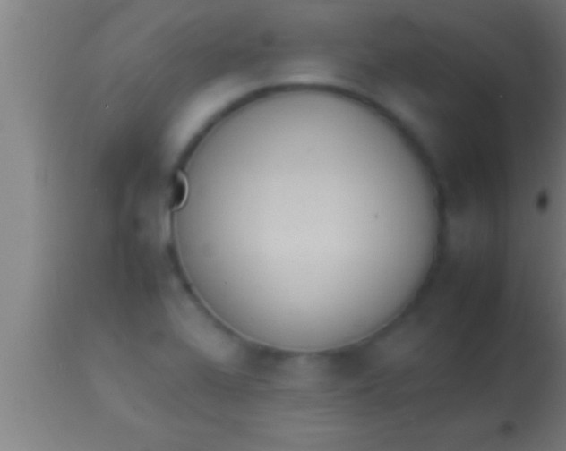 X0000113931368200910161840