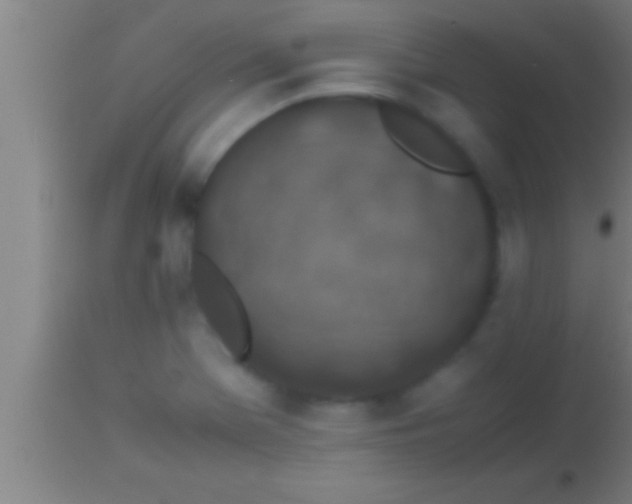 X0000113931369200910161840