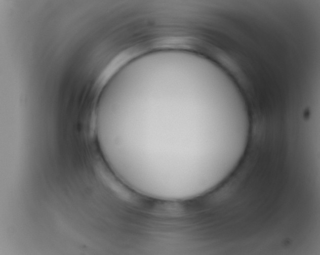 X0000113931370200910161840