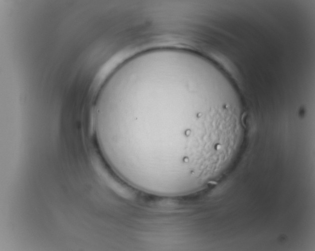 X0000113931371200910161840