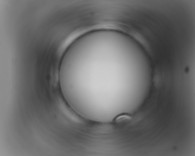 X0000113931372200910161840