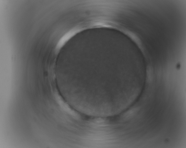 X0000113931373200910161840