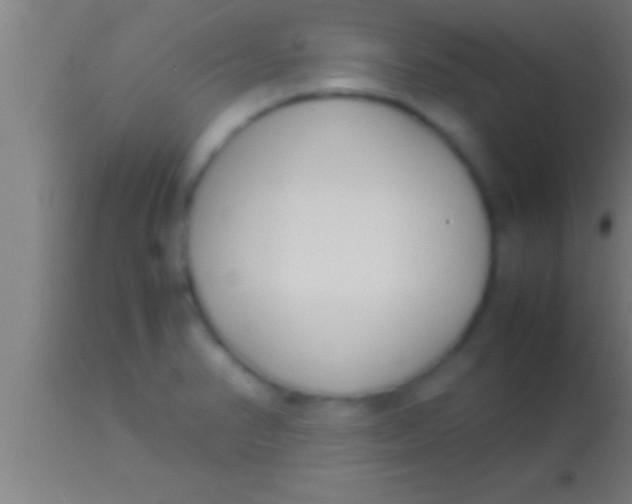 X0000113931374200910161840