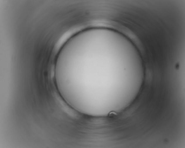 X0000113931376200910161840