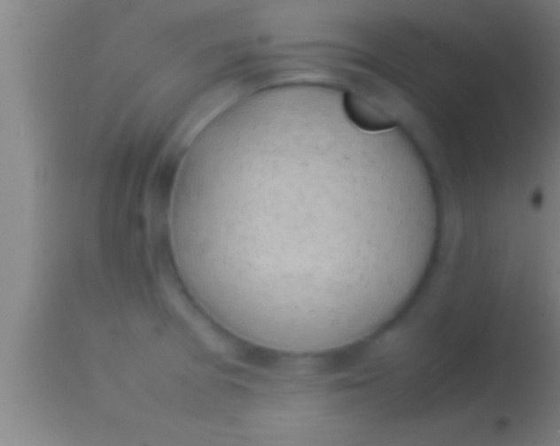 X0000113931377200910161840