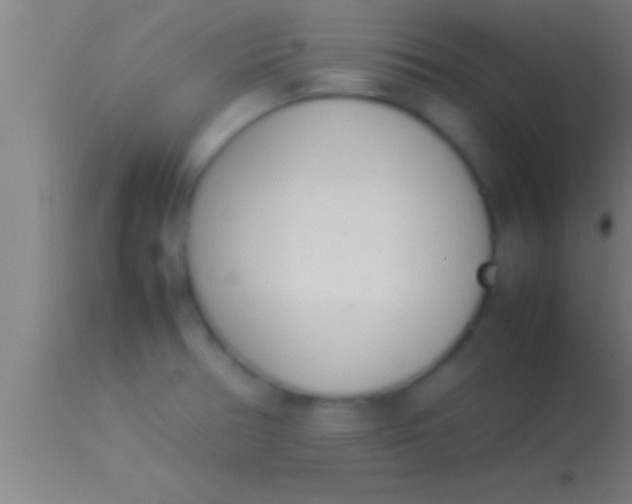 X0000113931378200910161840