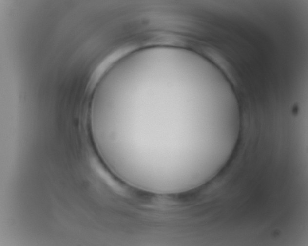 X0000113931379200910161840