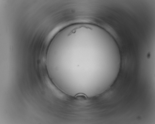 X0000113931380200910161840