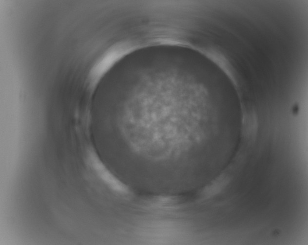 X0000113931381200910161840