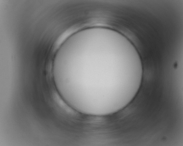 X0000113931382200910161840