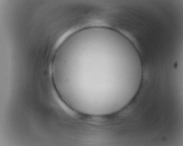 X0000113931383200910161840