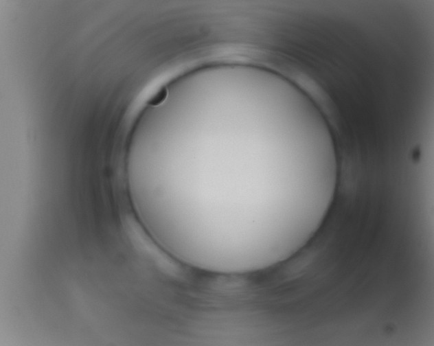 X0000113931384200910161840