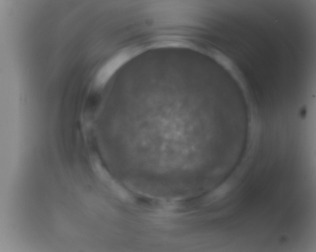 X0000113931385200910161840