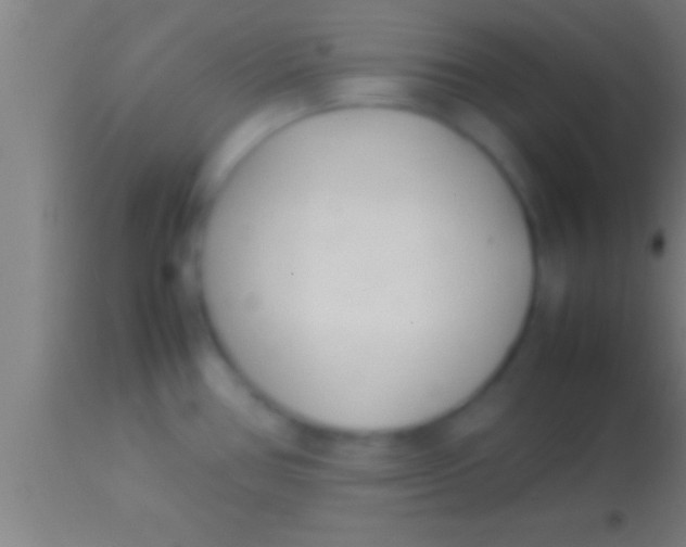 X0000113931386200910161840