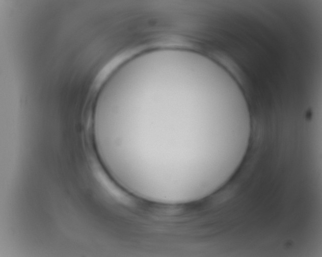 X0000113931387200910161840