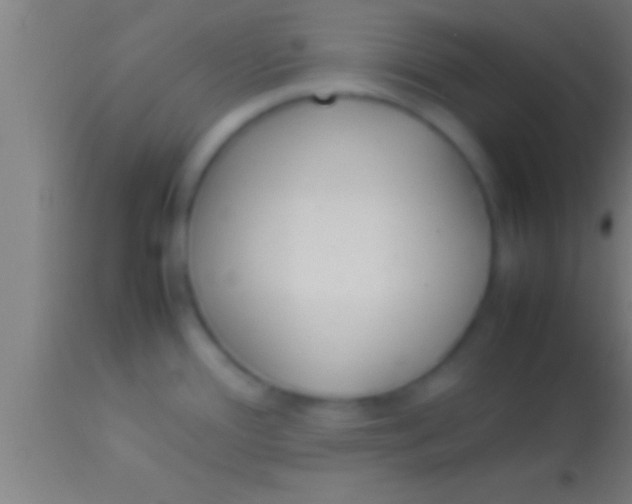 X0000113931388200910161840