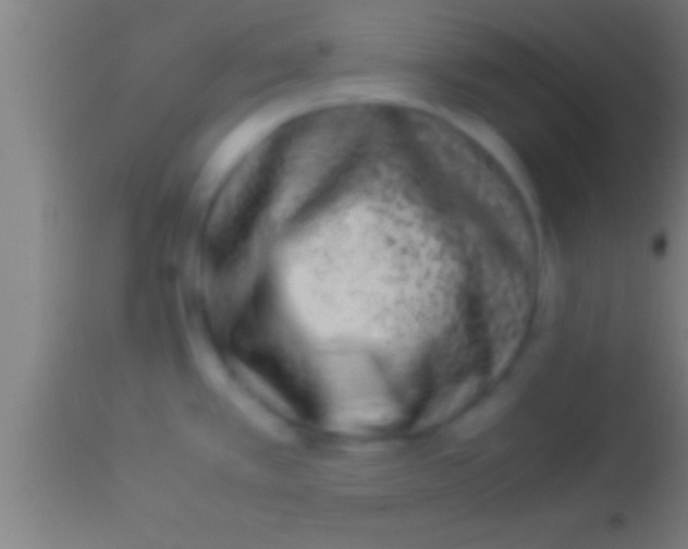 X0000113931389200910161840