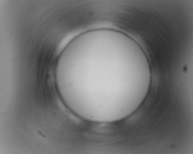 X0000113931390200910161840