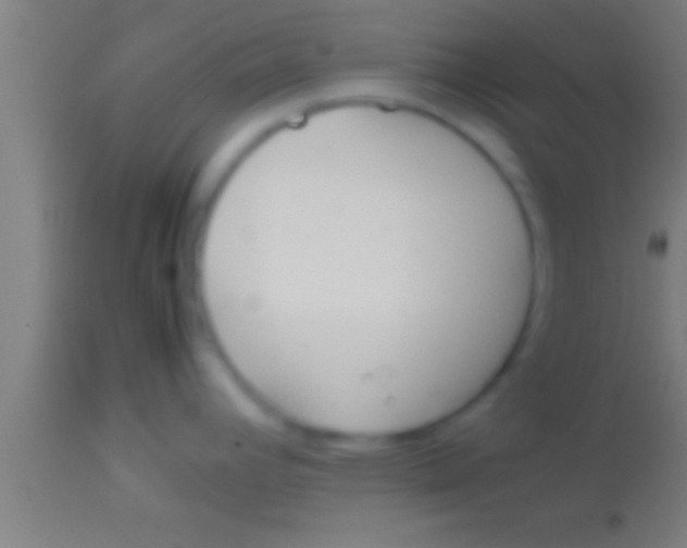 X0000113931392200910161840