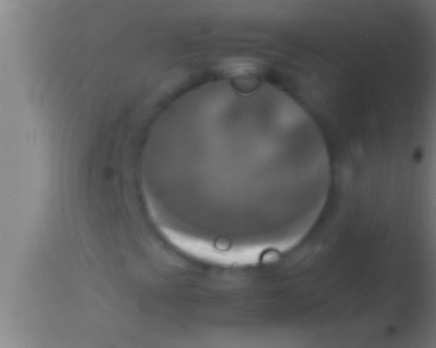 X0000113931393200910161839