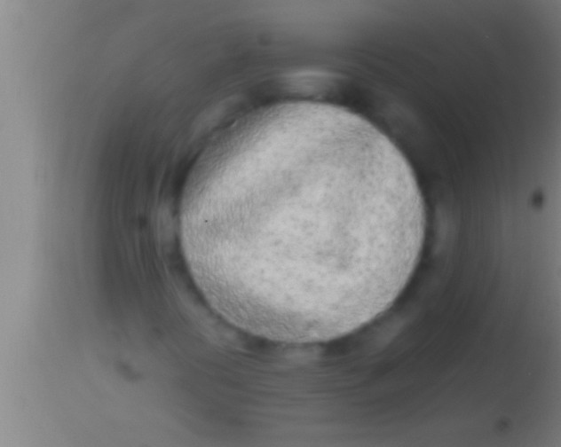 X0000113931394200910161839