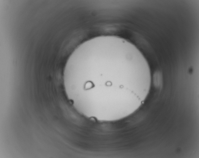 X0000113931395200910161839