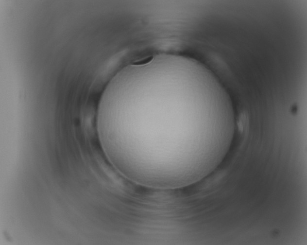 X0000113931396200910161839