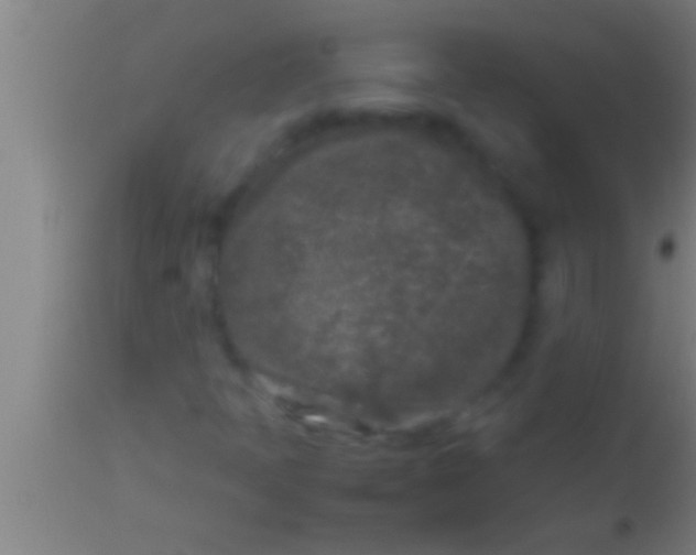 X0000113931397200910161839