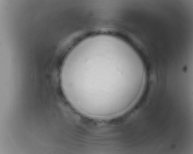 X0000113931398200910161839