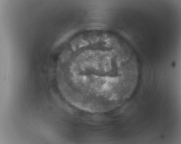 X0000113931399200910161839