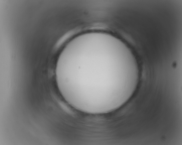 X0000113931400200910161839