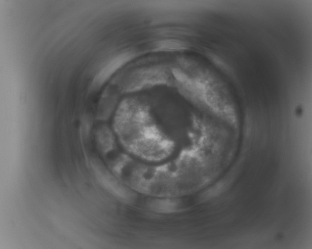 X0000113931401200910161839