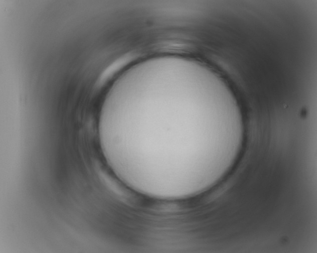 X0000113931402200910161839