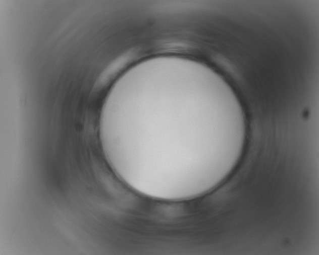 X0000113931403200910161839