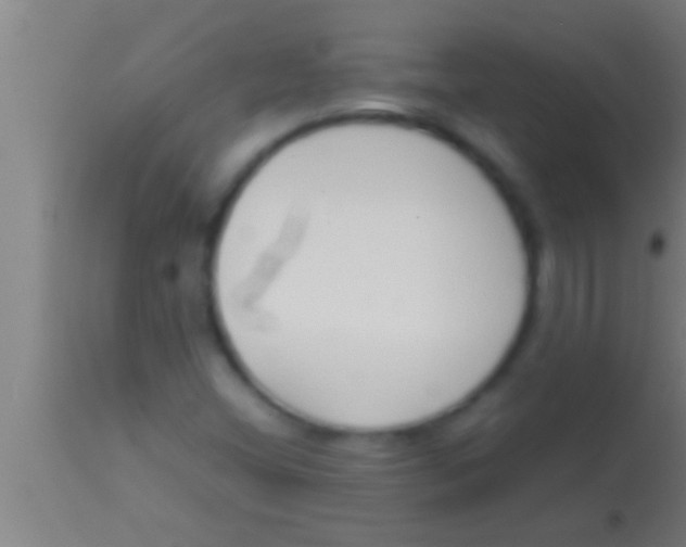 X0000113931404200910161839