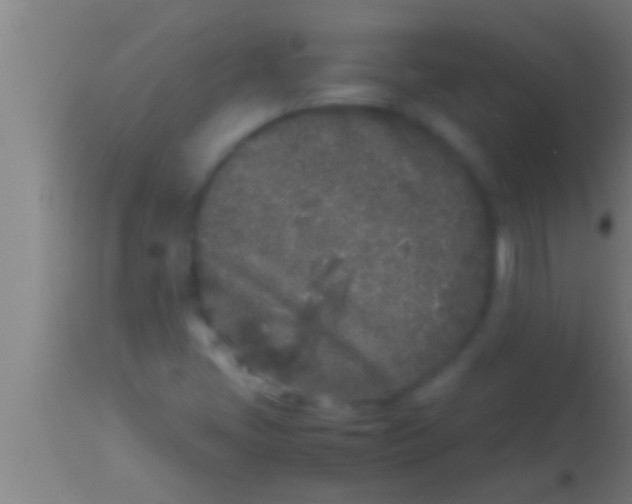 X0000113931405200910161839