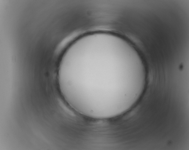 X0000113931406200910161839