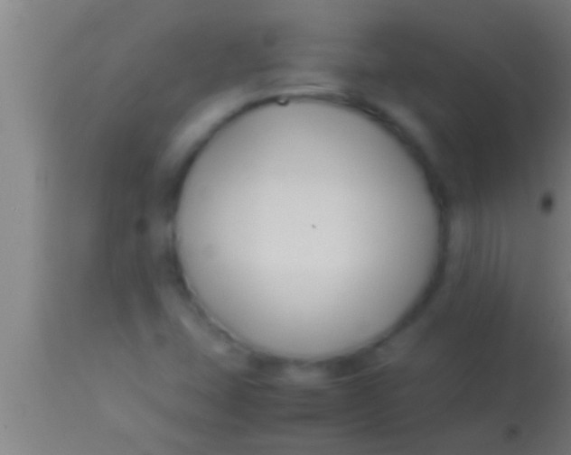 X0000113931407200910161839