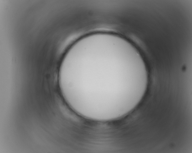 X0000113931408200910161839