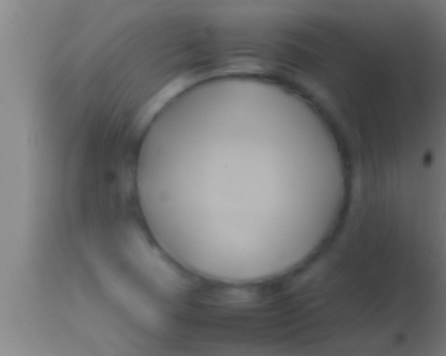 X0000113931409200910161839