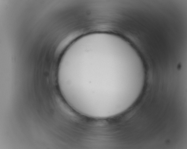 X0000113931410200910161839