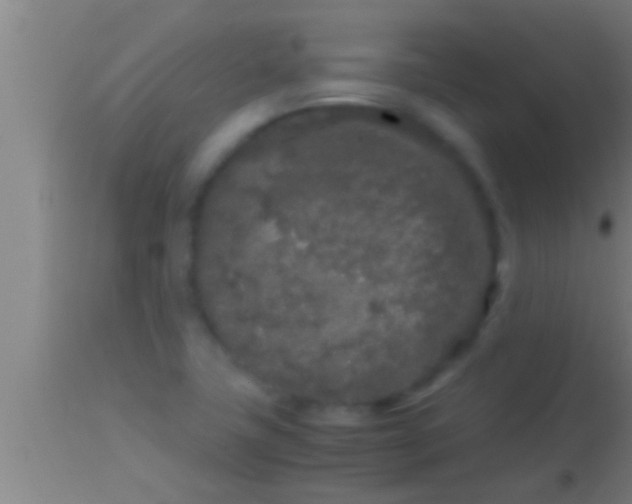 X0000113931411200910161839