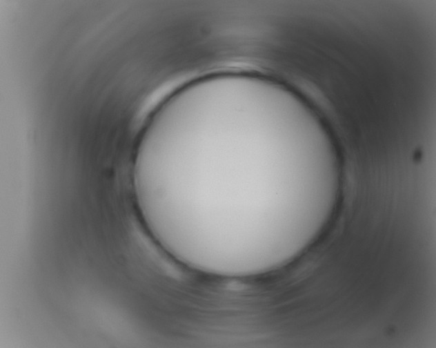 X0000113931412200910161839