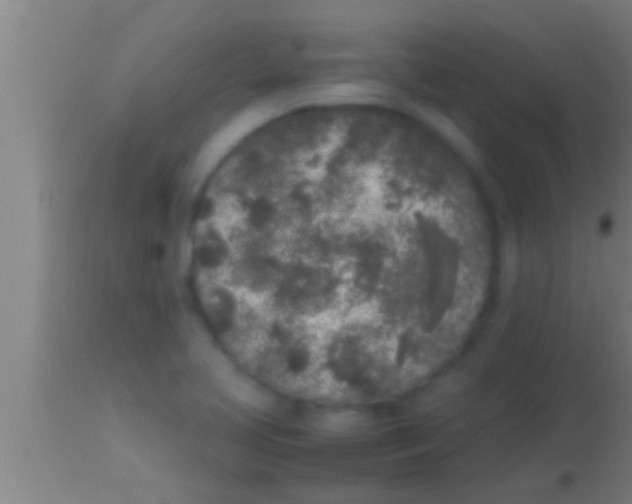 X0000113931413200910161839