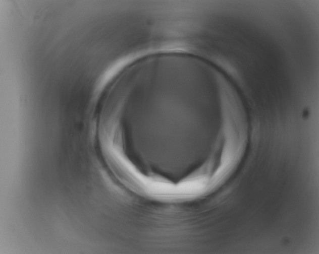 X0000113931414200910161839