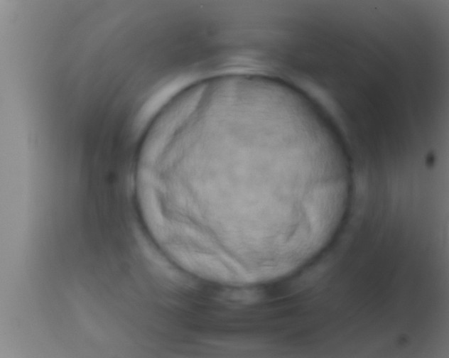 X0000113931415200910161839