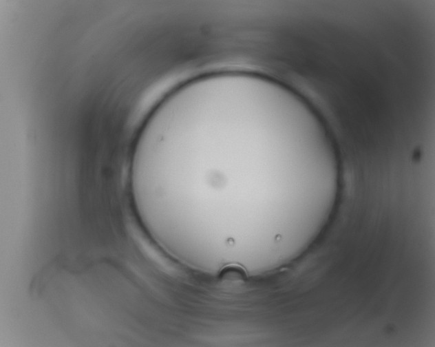 X0000113931416200910161839