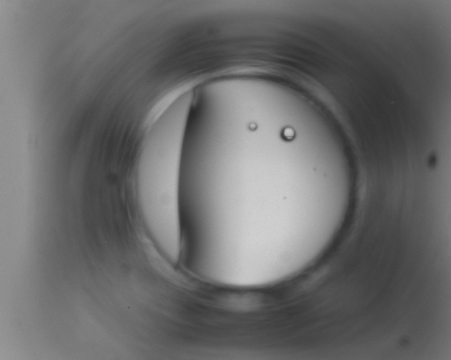 X0000113931417200910161839